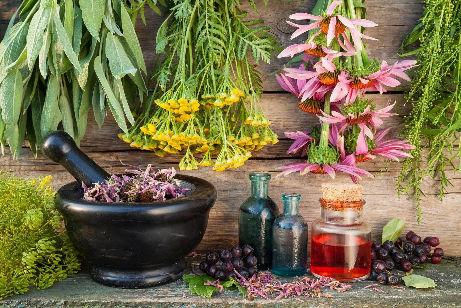 4 Natural Herbs to Shrink your Prostrate and Increase Urine Flow