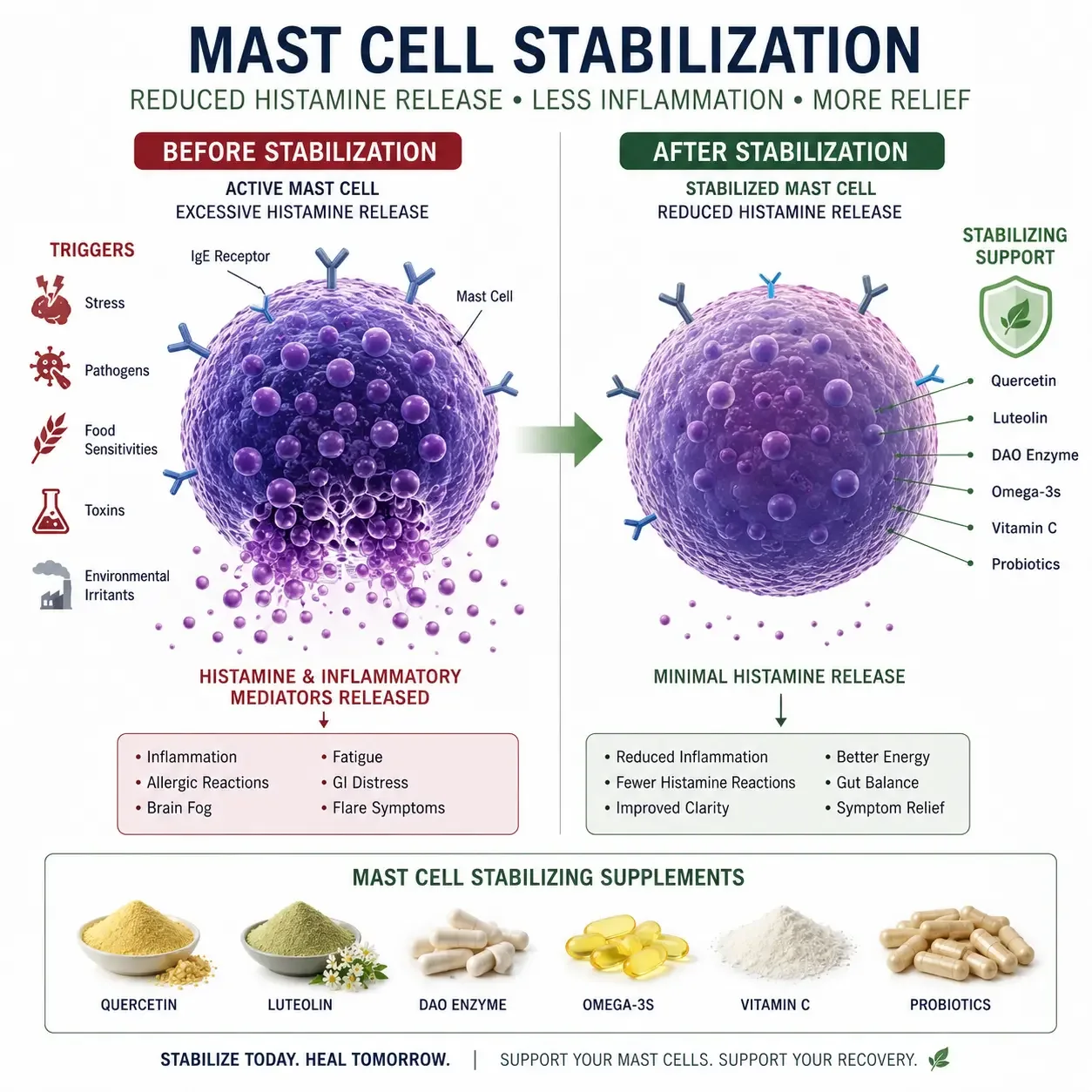 Mast cell stabilization as part of a supplements for Long COVID recovery protocol